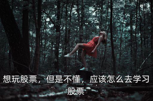 怎么才可以玩股市,應(yīng)該怎么操作