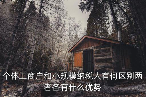 個(gè)體工商戶(hù)和小規(guī)模納稅人有何區(qū)別兩者各有什么優(yōu)勢(shì)