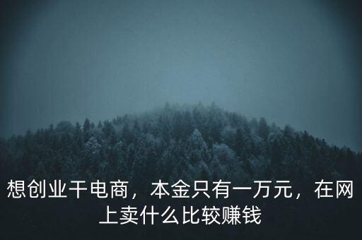 想創(chuàng)業(yè)干電商，本金只有一萬元，在網(wǎng)上賣什么比較賺錢