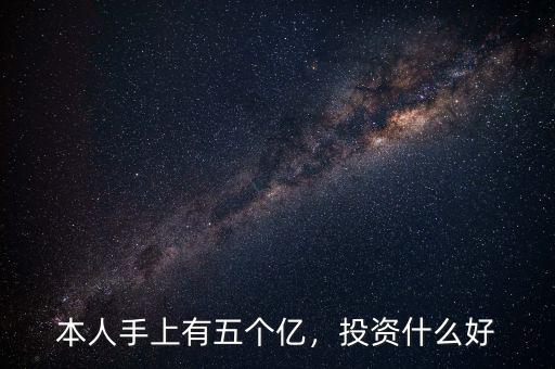 本人手上有五個(gè)億，投資什么好