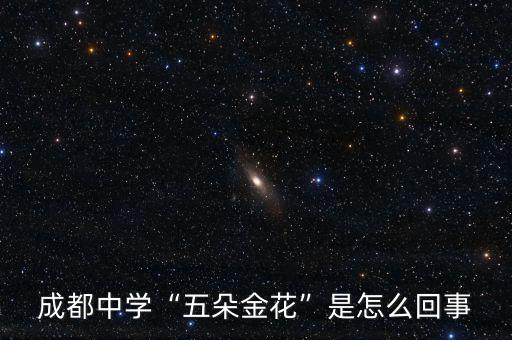 成都中學(xué)“五朵金花”是怎么回事
