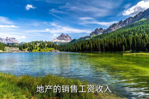 地產的銷售工資收入