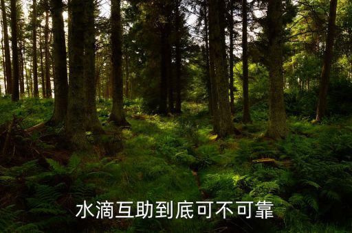 水滴互助到底可不可靠