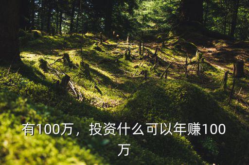 有100萬，投資什么可以年賺100萬