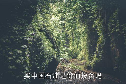 中國(guó)什么時(shí)候出手購(gòu)買石油,40價(jià)位出手買入幾億桶石油