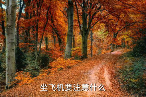 暑運(yùn)航班需注意什么,國際航班轉(zhuǎn)機(jī)時要注意什么