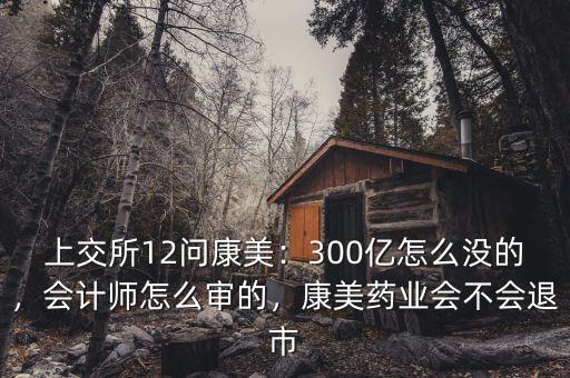 上交所12問康美：300億怎么沒的，會計師怎么審的，康美藥業(yè)會不會退市