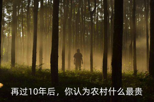 再過(guò)10年后，你認(rèn)為農(nóng)村什么最貴