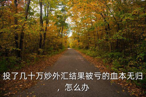 投了幾十萬(wàn)炒外匯結(jié)果被虧的血本無(wú)歸，怎么辦
