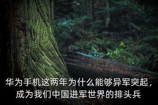 華為手機(jī)這兩年為什么能夠異軍突起，成為我們中國(guó)進(jìn)軍世界的排頭兵