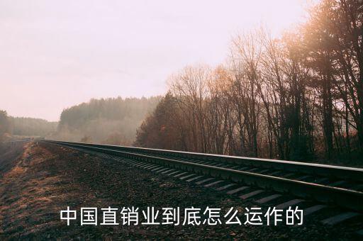 中國(guó)直銷(xiāo)業(yè)到底怎么運(yùn)作的