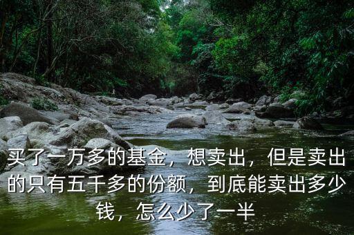買了一萬(wàn)多的基金，想賣出，但是賣出的只有五千多的份額，到底能賣出多少錢，怎么少了一半
