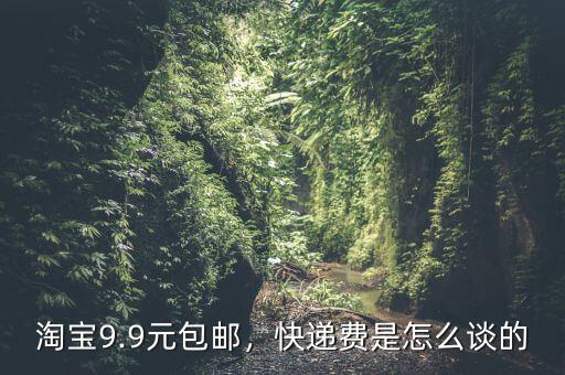淘寶9.9元包郵，快遞費(fèi)是怎么談的