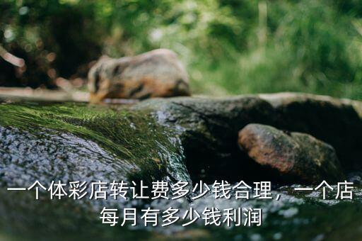 一個(gè)體彩店轉(zhuǎn)讓費(fèi)多少錢(qián)合理，一個(gè)店每月有多少錢(qián)利潤(rùn)
