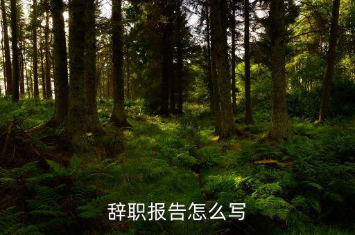 辭職報(bào)告怎么寫(xiě)