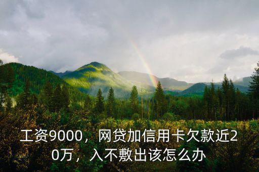 工資9000，網(wǎng)貸加信用卡欠款近20萬(wàn)，入不敷出該怎么辦