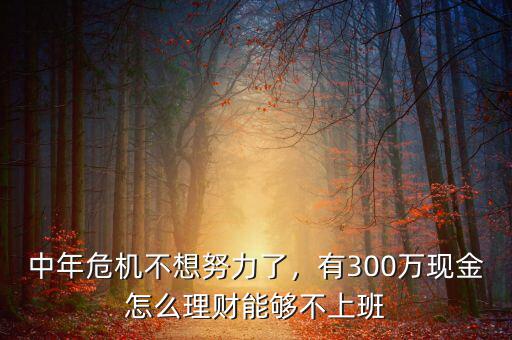 中年危機不想努力了，有300萬現(xiàn)金怎么理財能夠不上班