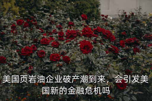美國頁巖油企業(yè)破產(chǎn)潮到來，會引發(fā)美國新的金融危機嗎