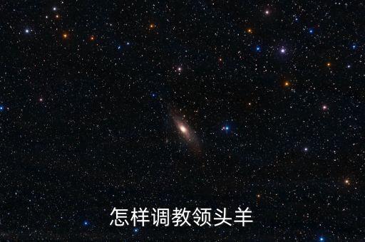怎樣調(diào)教領(lǐng)頭羊