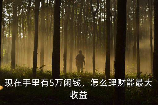 現(xiàn)在手里有5萬閑錢，怎么理財能最大收益