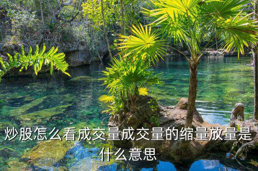 股票怎么看成交量視頻,成交量的縮量放量是什么意思