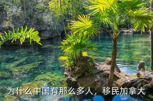 為什么中國有那么多人，移民加拿大