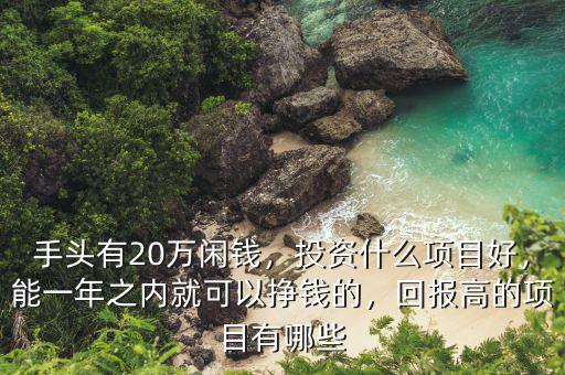 手頭有20萬閑錢，投資什么項目好，能一年之內(nèi)就可以掙錢的，回報高的項目有哪些