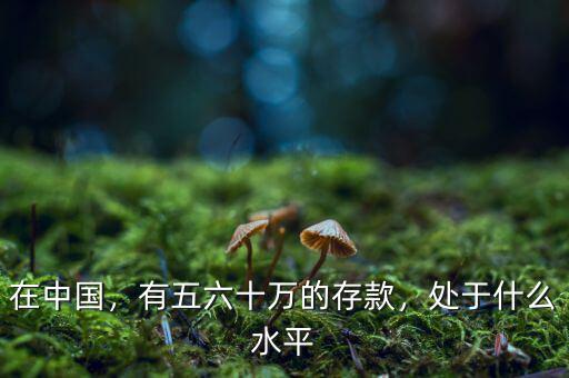 在中國，有五六十萬的存款，處于什么水平