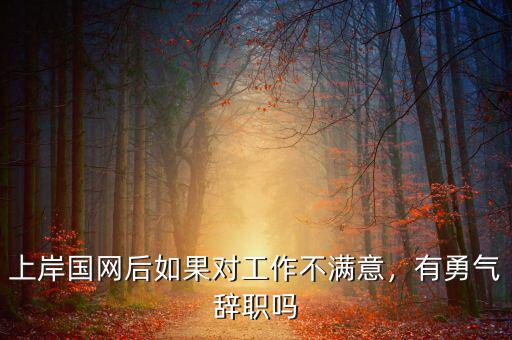 上岸國(guó)網(wǎng)后如果對(duì)工作不滿意，有勇氣辭職嗎