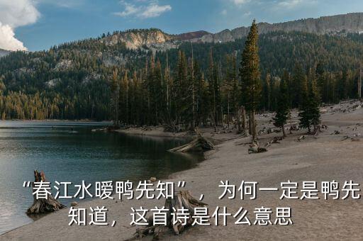 “春江水曖鴨先知”，為何一定是鴨先知道，這首詩是什么意思