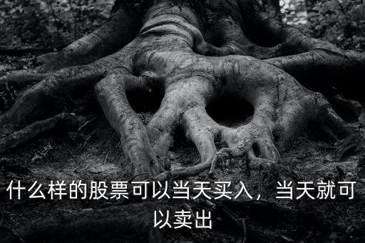 什么樣的股票可以當(dāng)天買入，當(dāng)天就可以賣出