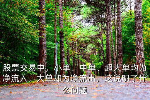 股票交易中，小單、中單、超大單均為凈流入，大單卻為凈流出，這說明了什么問題