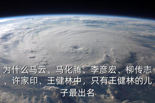 為什么馬云、馬化騰、李彥宏、柳傳志、許家印、王健林中，只有王健林的兒子最出名