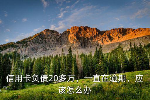 信用卡負(fù)債20多萬，一直在逾期，應(yīng)該怎么辦