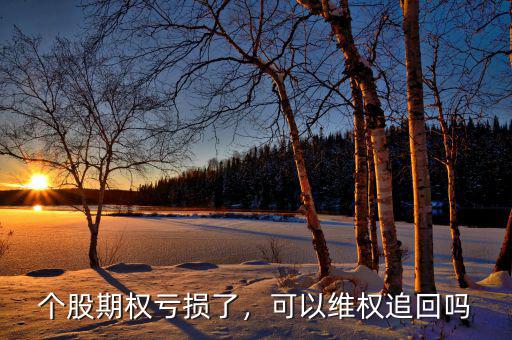 個股期權(quán)一張是多少,個股期權(quán)虧損了