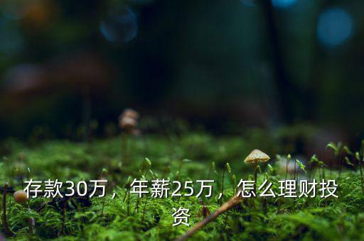 存款30萬，年薪25萬，怎么理財(cái)投資