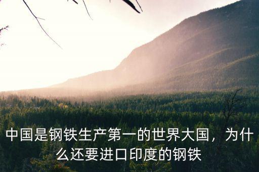 中國(guó)是鋼鐵生產(chǎn)第一的世界大國(guó)，為什么還要進(jìn)口印度的鋼鐵