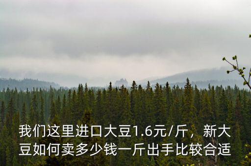 我們這里進(jìn)口大豆1.6元/斤，新大豆如何賣(mài)多少錢(qián)一斤出手比較合適