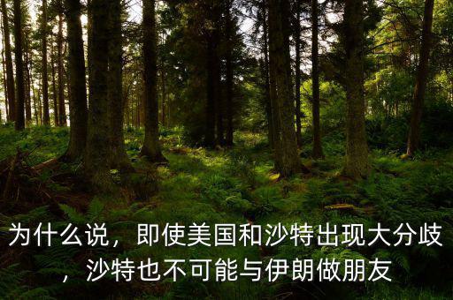 為什么說，即使美國(guó)和沙特出現(xiàn)大分歧，沙特也不可能與伊朗做朋友