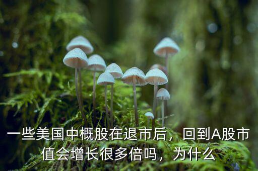 一些美國(guó)中概股在退市后，回到A股市值會(huì)增長(zhǎng)很多倍嗎，為什么