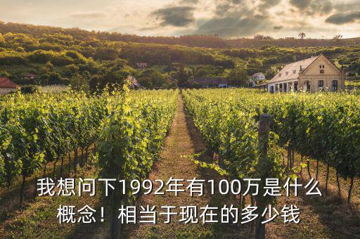 我想問下1992年有100萬是什么概念！相當于現(xiàn)在的多少錢