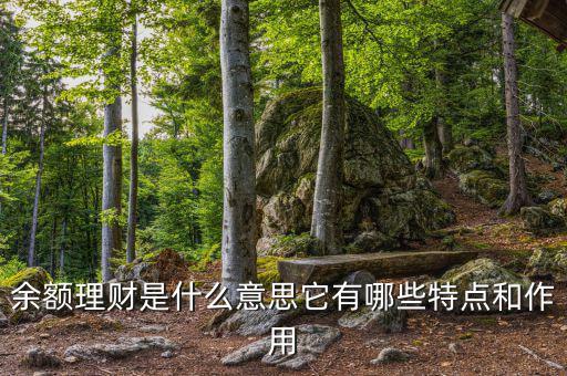 余額理財是什么意思它有哪些特點(diǎn)和作用