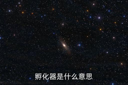 開(kāi)放孵化器是什么意思,孵化器是什么意思