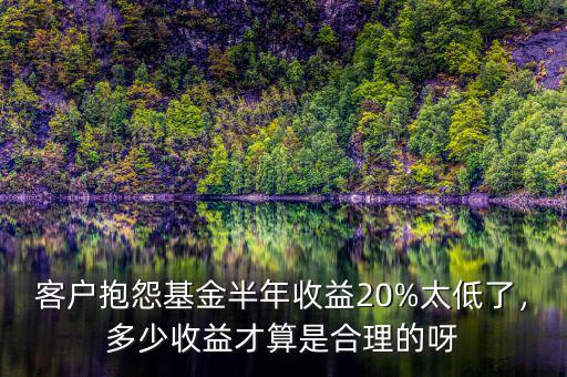 客戶抱怨基金半年收益20%太低了，多少收益才算是合理的呀