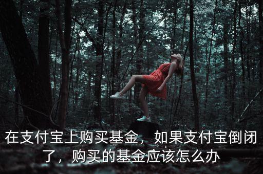 在支付寶上購買基金，如果支付寶倒閉了，購買的基金應(yīng)該怎么辦