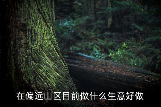 偏遠城市做什么項目,可用5年。做什么項目好呢