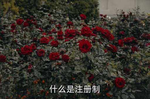 什么是注冊(cè)制