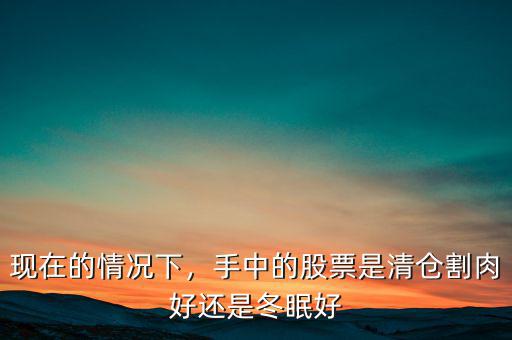 現在的情況下，手中的股票是清倉割肉好還是冬眠好