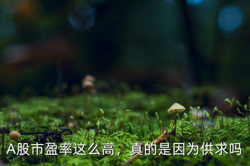 A股市盈率這么高，真的是因為供求嗎