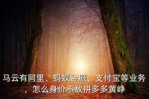 馬云有阿里、螞蟻金服、支付寶等業(yè)務，怎么身價不敵拼多多黃崢